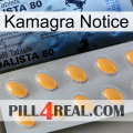 Kamagra Notice 44